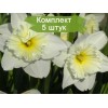 Луковицы нарцисса Айс Фоллис (Ice Follies) - 5 шт.: фото и описание