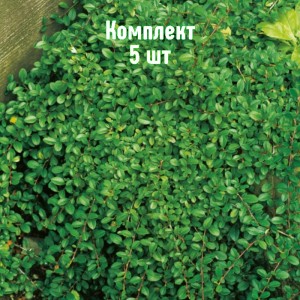 Комплект 5шт / Кизильник горизонтальный Эйхольц